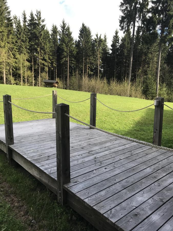 Chalet6Harrachov Se Saunou Dış mekan fotoğraf