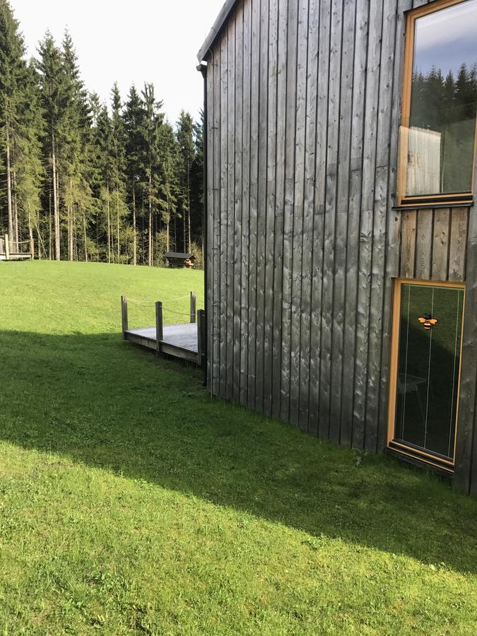 Chalet6Harrachov Se Saunou Dış mekan fotoğraf